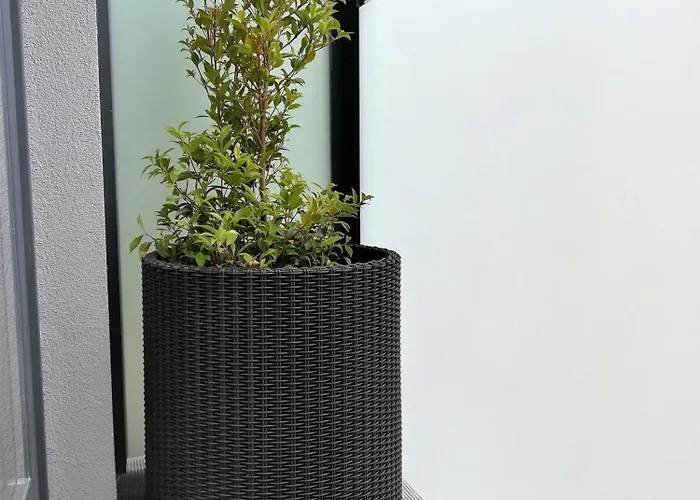 Aposentus - Your At Pinheiro's