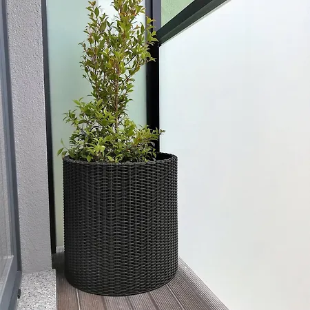 Aposentus - Your At Pinheiro's